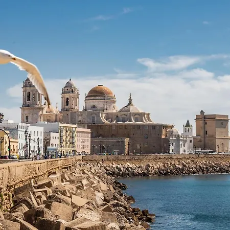Mirador De La Vina Free Parking By Livework Apartment Cadiz
